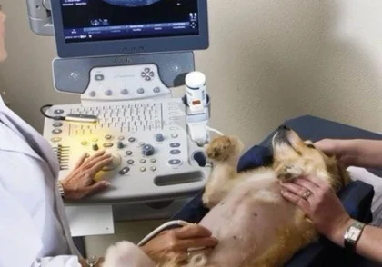 جزوه رادیولوژی دانشگاه تهران