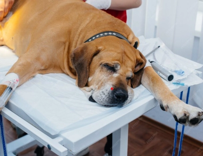 جزوه اصول هوشبری تهران