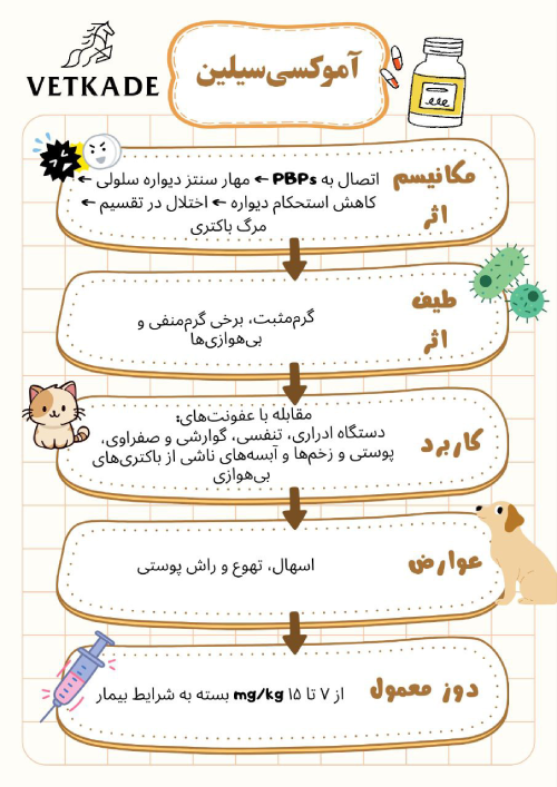 آموکسی‌سیلین