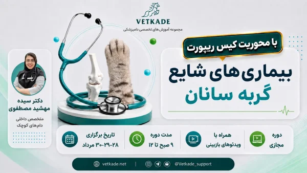 بیماری های شایع گربه سانان (با محوریت کیس ریپورت)
