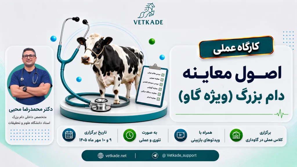 دوره اصول معاینه دام‌بزرگ (گاو)