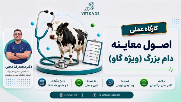 دوره اصول معاینه دام‌بزرگ (گاو)